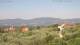 Pietrapiana 03.07.2025 10:21