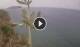 Ventotene 15.06.2025 10:22