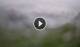 Syðrugøta 15.07.2025 10:29