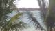 Pointe aux Canonniers 30.04.2025 10:22