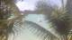Pointe aux Canonniers 29.04.2025 10:22
