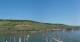Bingen am Rhein 30.04.2025 10:22