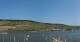 Bingen am Rhein 17.03.2025 10:23