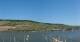 Bingen am Rhein 09.05.2025 10:22