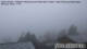 Falkertsee 09.05.2025 10:21