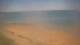 Darwin 30.04.2025 10:59