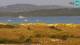 Porto Pollo (Sardegna) 14.06.2025 10:23