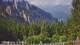 Schwangau 08.06.2025 10:23