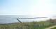 Nebel (Amrum) 30.04.2025 10:23