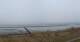 Nebel (Amrum) 02.02.2025 10:24