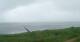 Nebel (Amrum) 05.07.2025 10:23
