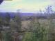 Eggedal 14.06.2025 10:23