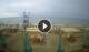 Tirrenia 06.07.2025 10:24