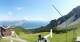 Axamer Lizum 30.06.2025 10:25