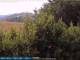 Bolonia 09.06.2025 10:25