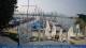 Breitbrunn am Chiemsee 08.06.2025 10:25