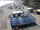 Heringsdorf (Usedom) 30.04.2025 10:25