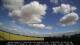 Winterton 09.07.2025 10:25
