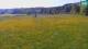 Medvode 30.04.2025 10:26