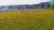 Medvode 30.04.2025 10:26