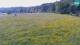 Medvode 12.05.2025 10:26
