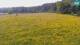 Medvode 11.05.2025 10:26