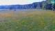 Medvode 29.04.2025 10:26