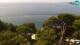 Brela 09.06.2025 10:26