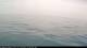 Wilmette, Illinois 12.07.2025 10:31