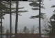 Windham, Maine 30.04.2025 10:26