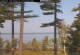 Windham, Maine 15.07.2025 10:31