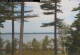 Windham, Maine 06.07.2025 10:25
