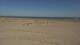 Dunkirk 09.05.2025 10:26