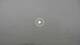 Weehawken, Nueva Jersey 08.06.2025 10:27