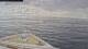 Norwegian Pearl 11.05.2025 10:27