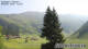 Klosters-Serneus 09.06.2025 10:28
