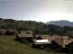 Beatenberg 29.04.2025 10:28