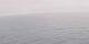 AIDAbella 04.07.2025 10:49