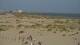Dunkerque 14.06.2025 10:28