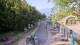 Lourdes 09.06.2025 10:28