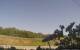 Montbliart 25.04.2025 10:28