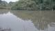 Les Landes-Genusson 01.07.2025 10:28