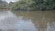 Les Landes-Genusson 14.07.2025 10:32
