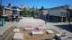 Nova Gorica 12.05.2025 10:28