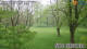 Husum 30.04.2025 10:30