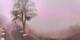 Lourdes 02.07.2025 10:28