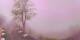 Lourdes 11.05.2025 10:28