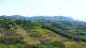 Šmartno 20.06.2026 10:31
