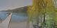 Annenheim 20.05.2025 10:49