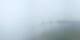 Prarion 07.07.2025 10:19